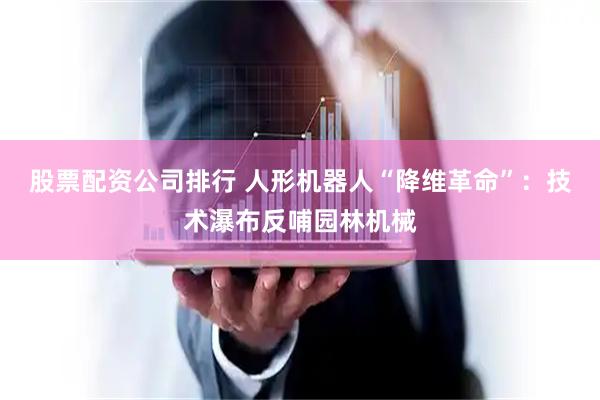 股票配资公司排行 人形机器人“降维革命”:技术瀑布反哺园林机械