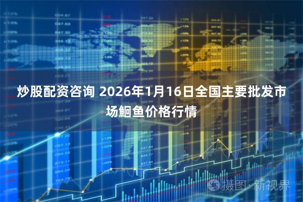 炒股配资咨询 2026年1月16日全国主要批发市场鮰鱼价格行情